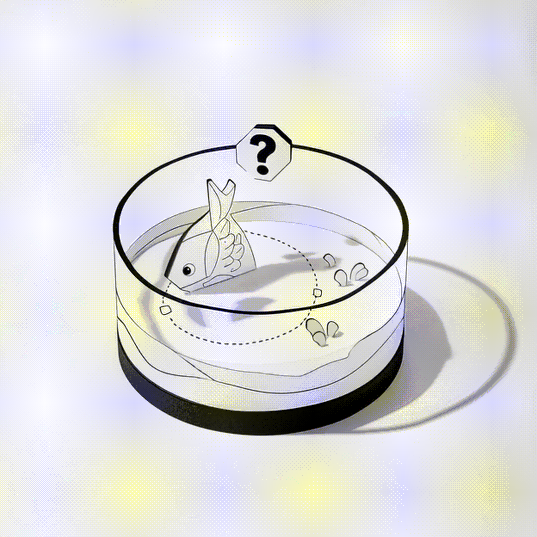 goldfish-forget light mode